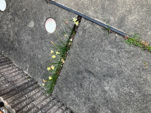 ひとりごと